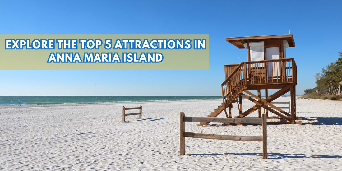 5 Things to Do in Anna Maria Island for the Perfect Florida Beach Getaway