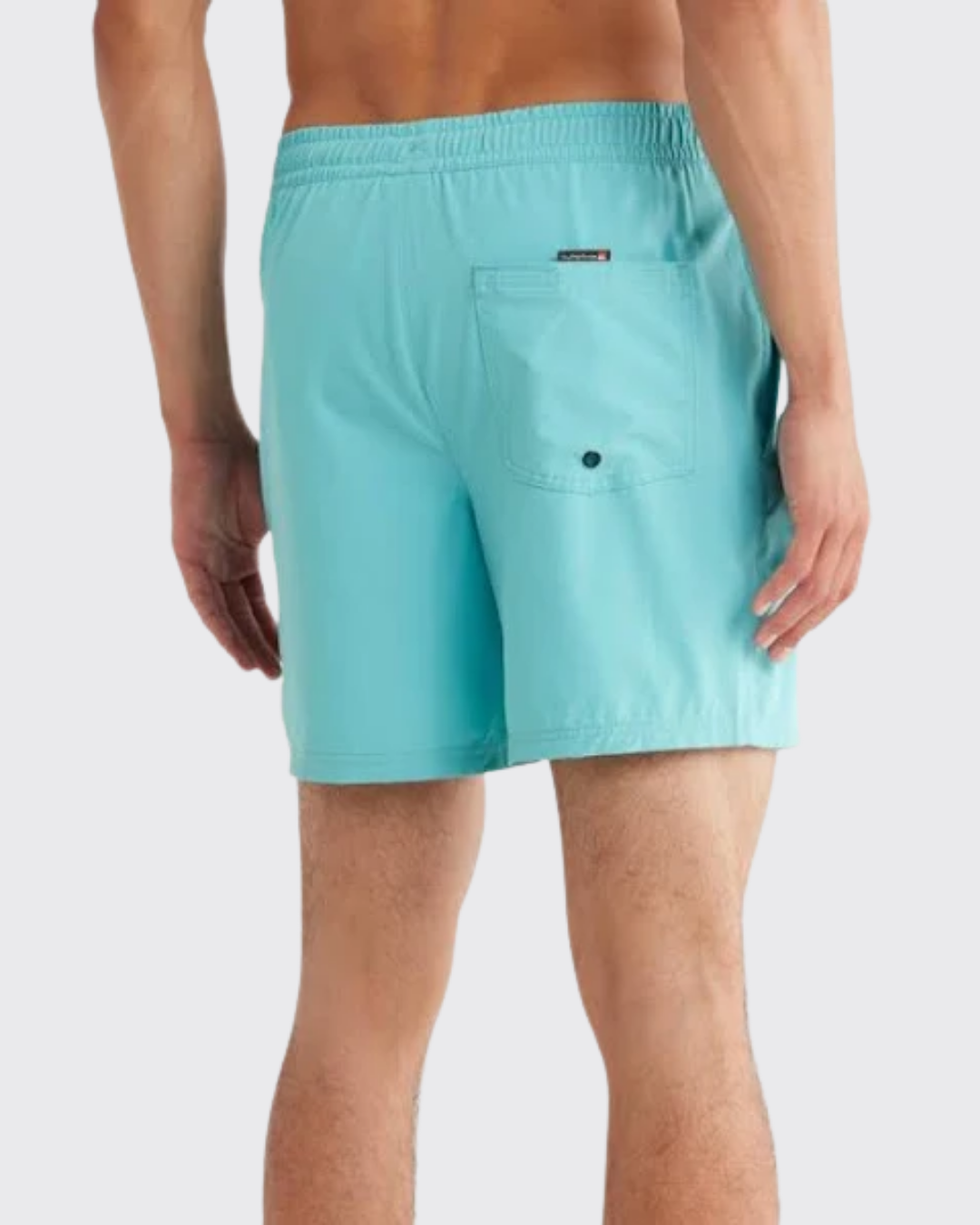 Quiksilver 17" Everyday Vert Volley 2 Shorts SHORT Quiksilver