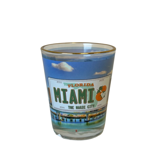 Miami License Plate Design Shots Glass