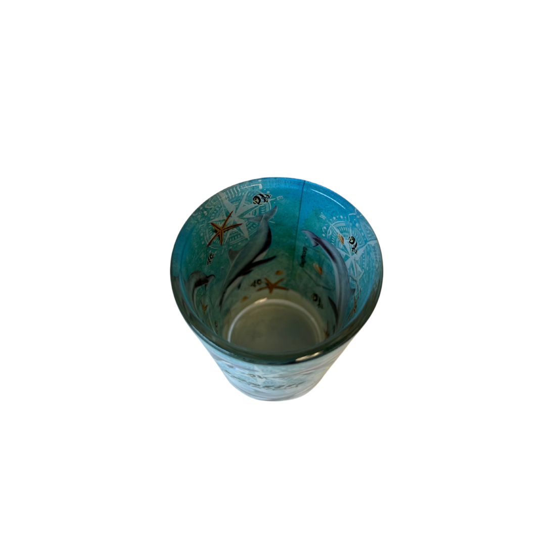 Destin Dolphins Design Shots Glass